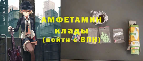 соль ск Ельня