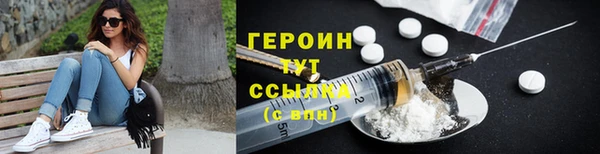 соль ск Ельня