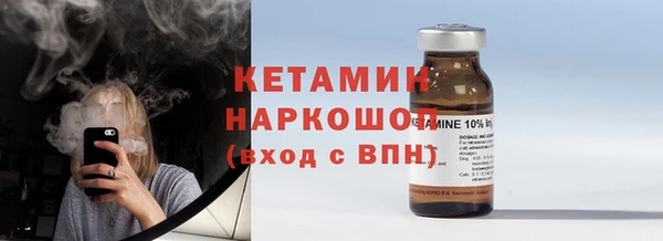 соль ск Ельня