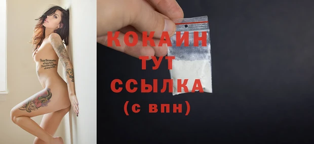 соль ск Ельня