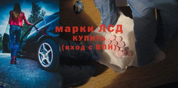 соль ск Ельня