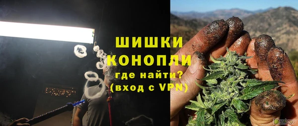 соль ск Ельня